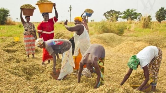 We Can Aenean Poor to Help This People in Needleo Blog.