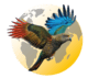 careox